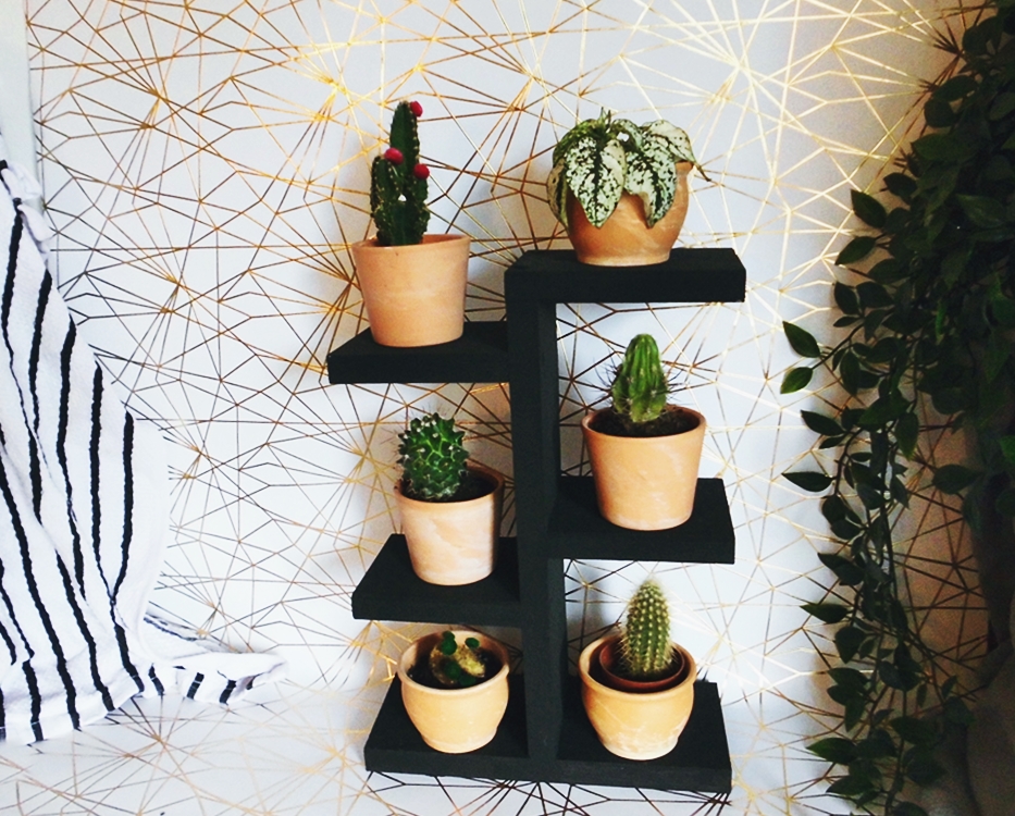 DIY Regal für Minipflanzen